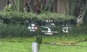 概括一下，俄对乌发动最大规模夜间无人机袭击，发射了479架无人机！俄称在乌工业中心继续推进，乌方：与事实完全不​符